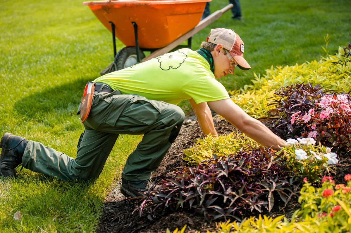 Landscaping and Grounds Maintenance